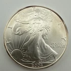 2004 American Silver Eagle Uncirculated Bullion $1 Coin