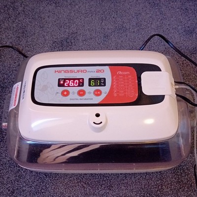 RCOM King Suro Brutmaschine vollautomatisch   mit Zubehör, ca. 30 Eier