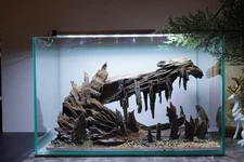 [SCAPE-101] Nature Aquarium Aquascape Driftwood– 9.3 Gallons