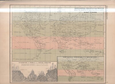 MAP , COLOUR , 1868 , suitable for framing ,ZOOLOGICAL CART OF THE WORLD