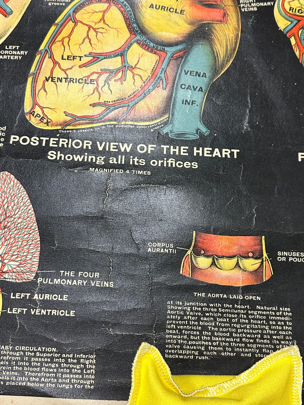Picture 6 of 22