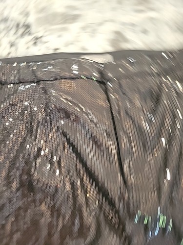 Women’s Plus Size Worthington Jason Bolden Sequins Pants 20W NWT Holiday! Sassy! - Picture 5 of 12
