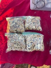 Carolina Style Pork Cracklins / BUTTON STYLE fried  pork fat with skin.. 2 lbs