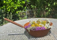 Deko Bratpfanne Zum Bepflanzen 22X46Cm Edelrost Pflanzpfanne Blumentopf Pfanne