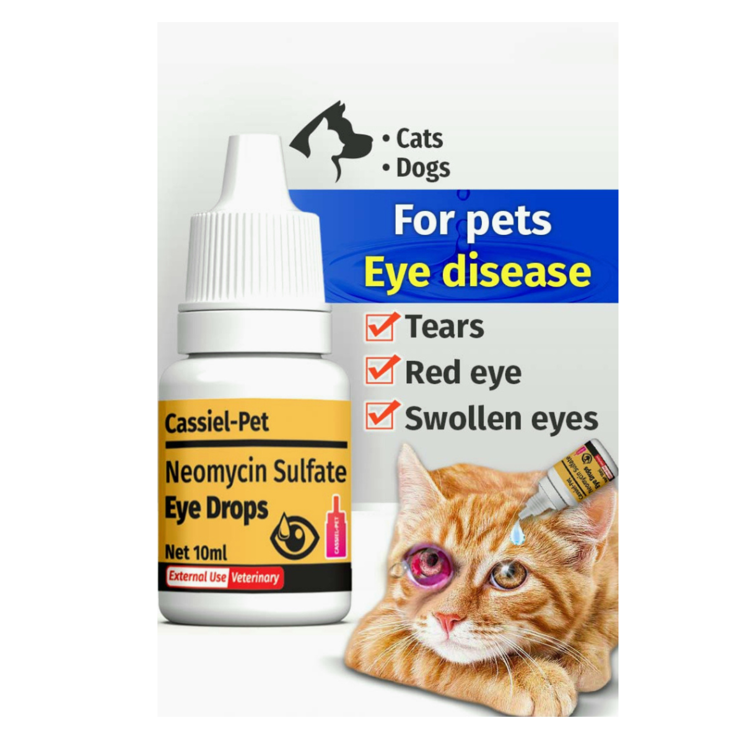 Cat Dogs Eye Drops Infection Treatment Treating Irritation Inflammation