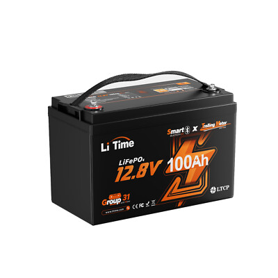 LiTime 12V 100Ah TM Smart Bluetooth LiFePO4 Lithium Battery