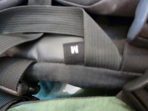gregory forester backpack