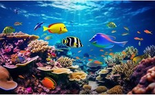Under The Sea Aquarium Background Coral Reef Ecosystem Colorful Tropical Fish