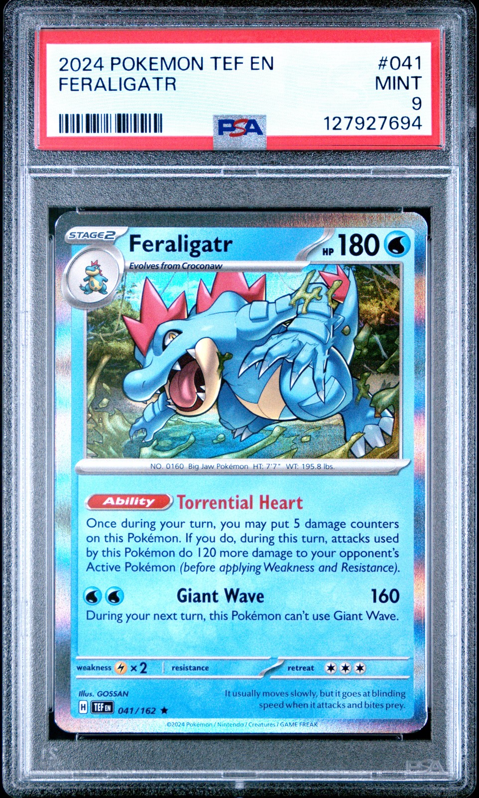 Feraligatr #41