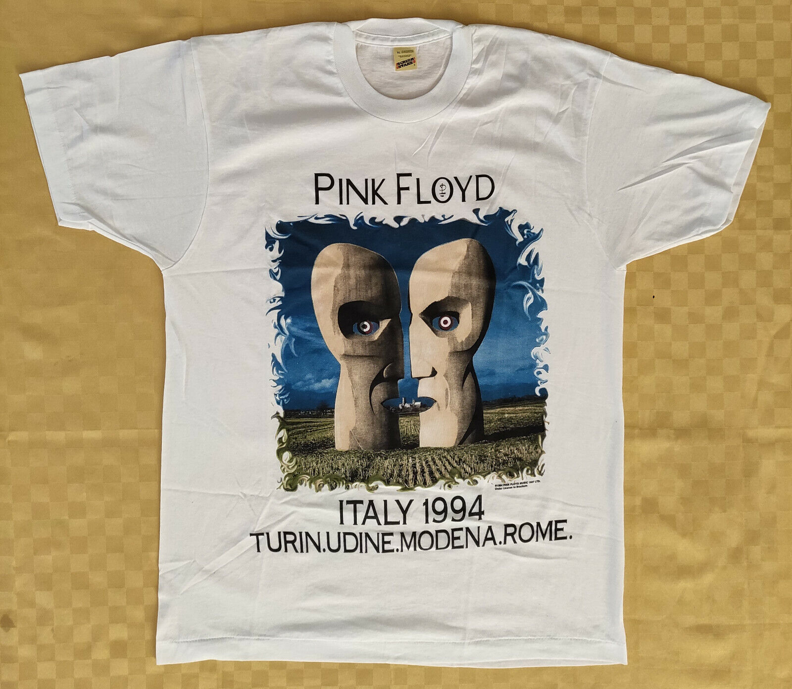 Pink Floyd 1994 Tシャツ着丈身幅はなんcmでしょうか