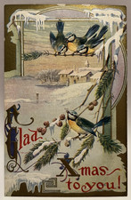 A Glad Xmas To You! Blue Jay Birds, Snow, Embossed Vintage Christmas Postcard