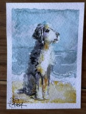 Watercolor ACEO Painting labradoodle cockapoo dog original picture trading card
