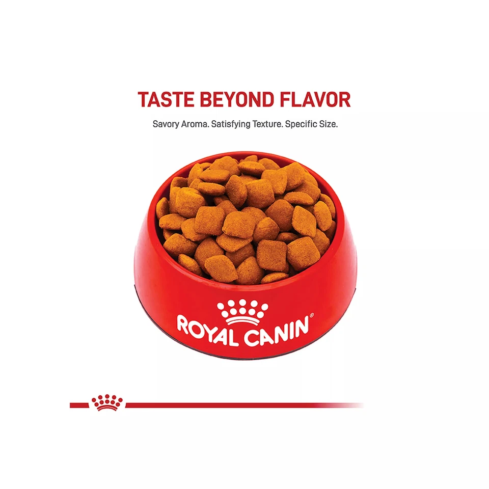 Royal Canin Breed Health Nutrition Golden Retriever Adult Dry Dog Food, 30 lbs - Image 2 of 4