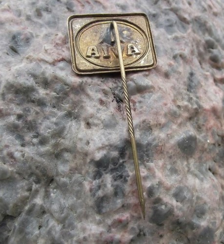 Antique AVIA Aviation Aircraft Truck Company Delta Wing Jet Plane Logo Pin Badge - Picture 2 of 2