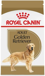 royal canin breed health nutrition golden retriever adult dry dog food