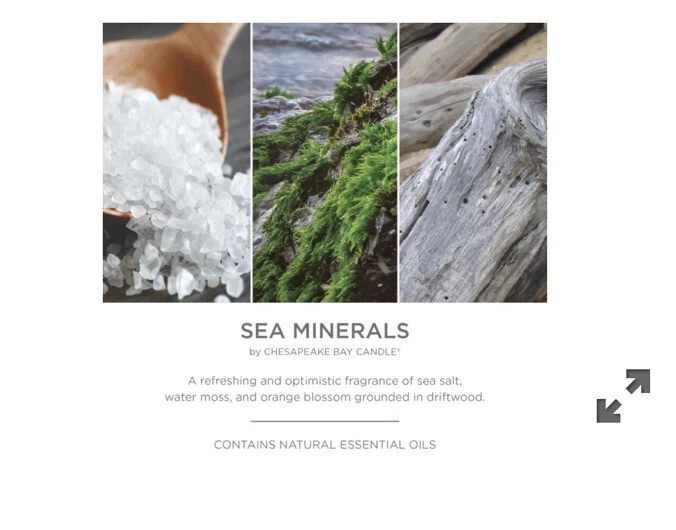 Vela de mecha múltiple Chesapeake Bay Yankee MINERALES MARINOS 14,9 OZ Foto 2 de 4