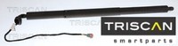 Triscan 871016317 Gasfeder FüR Koffer-/Laderaum Gasfeder GasdäMpfer FüR Ford