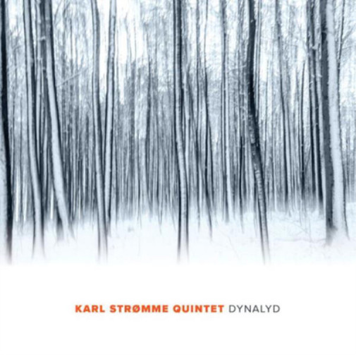 Альбом Karl Stromme Quintet Dynalyd (CD) (ИМПОРТИРОВАН из Великобритании)