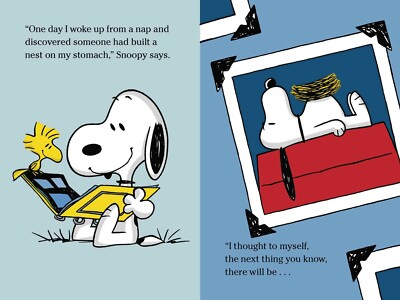 Peanuts - Set of 4 Books 9781438004686| eBay
