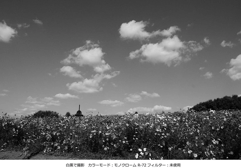 Kenko camera filter PRO1D R-72 52mm for monochrome photography 325209 - Image 3 of 4