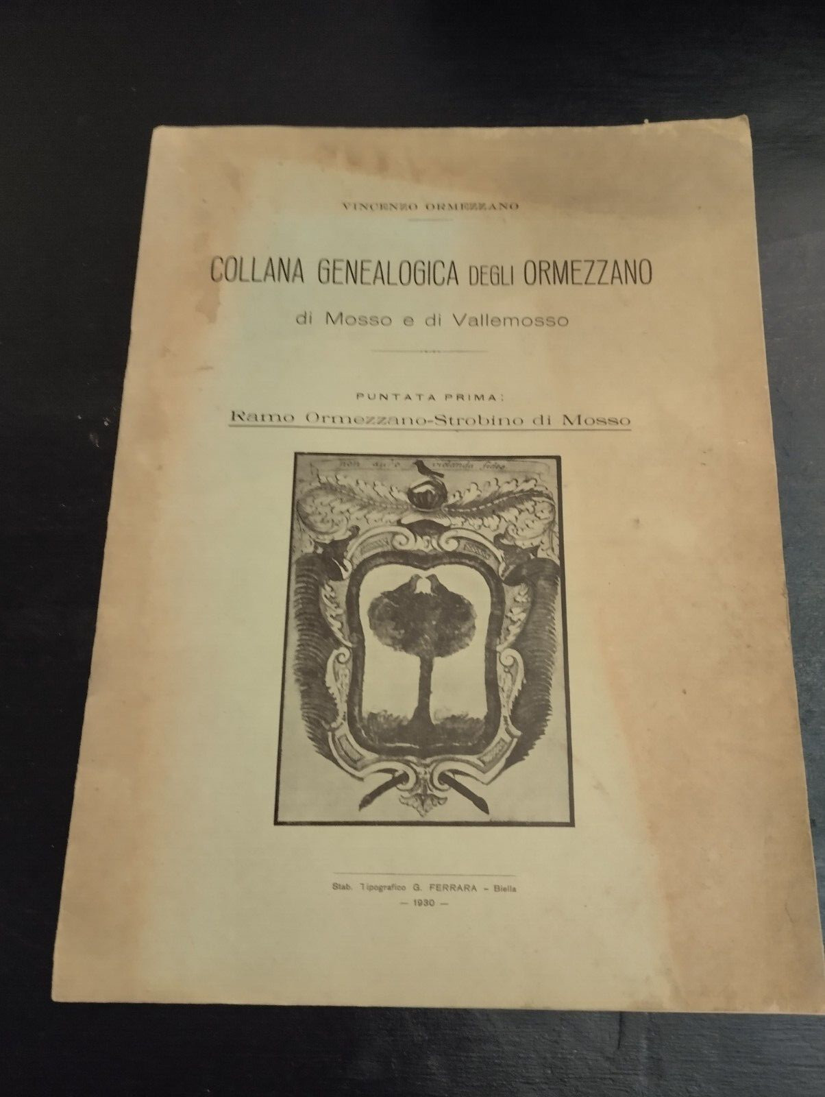 Libro Collana Genealogica Degli Ormezzano Vincenzo Ormezzano 1930