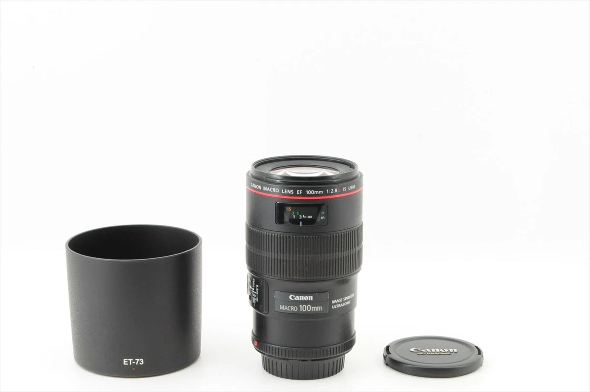 Canon EF 100mm F2.8 ジャンク Canon EF f/2.8 100mm Focal Macro/Close Up Lenses for sale | eBay