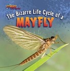 The Bizarre Life Cycle of a Mayfly by Greg Roza (Paperback / softback, 2012)