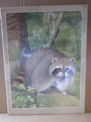 RACOON ON LOG  PETER BARRETT 1982 VINTAGE POSTER CNG3164