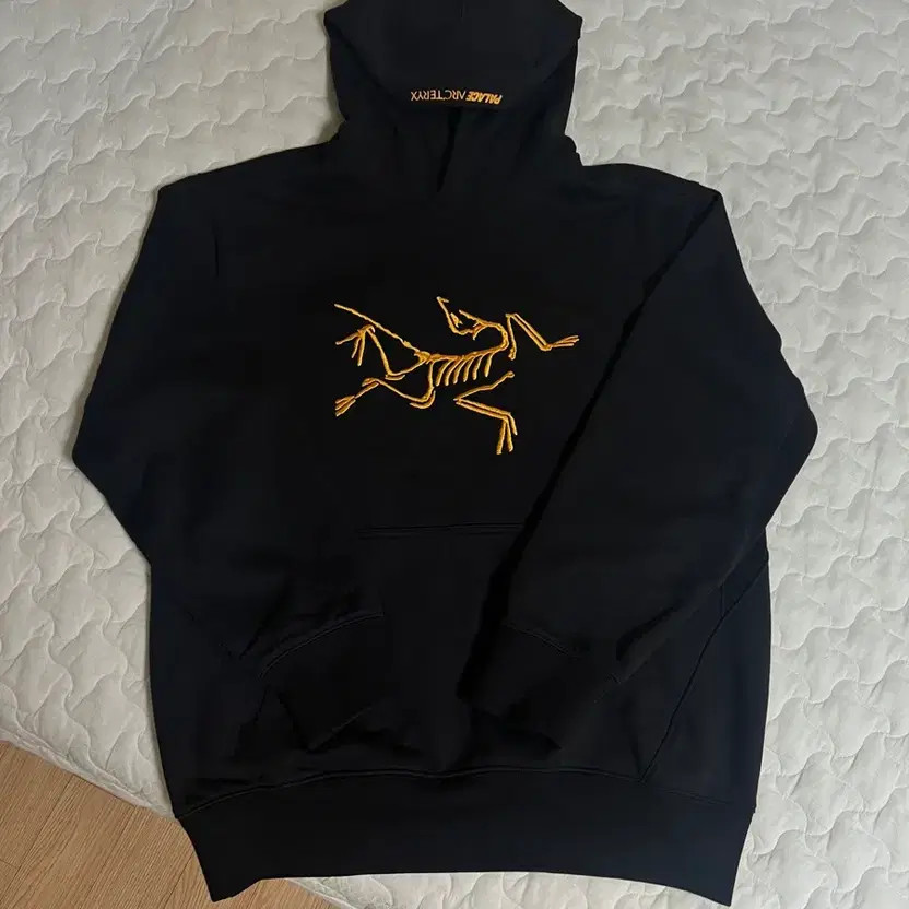 Arc'teryx Palas Hood - Men's Stylish Outdoor Hoodie