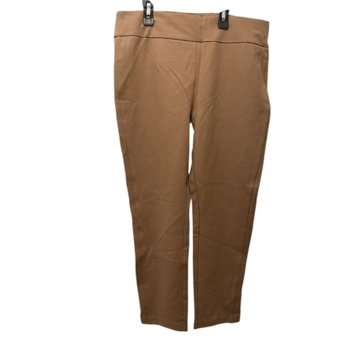 Express Stylish Tan Pants