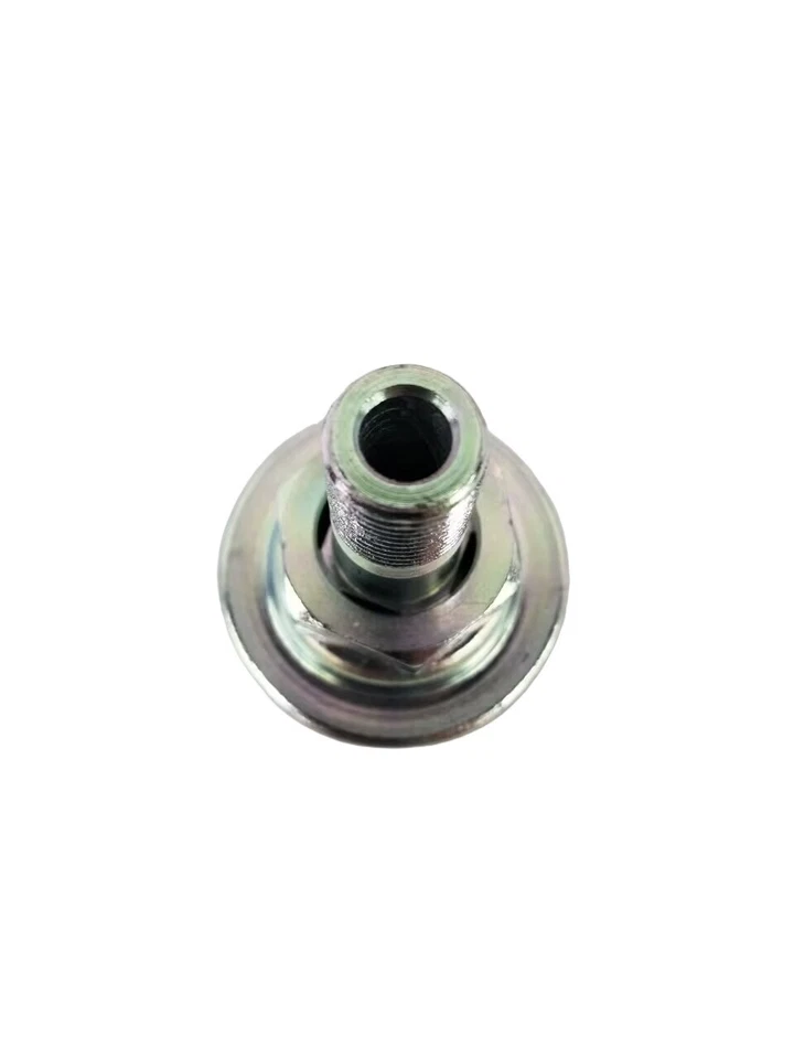 Fuel Injection Pressure Pulsation Damper Assy For Mazda 323 195250-0290 Foto 3 de 4