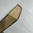 Foto 9 di 12