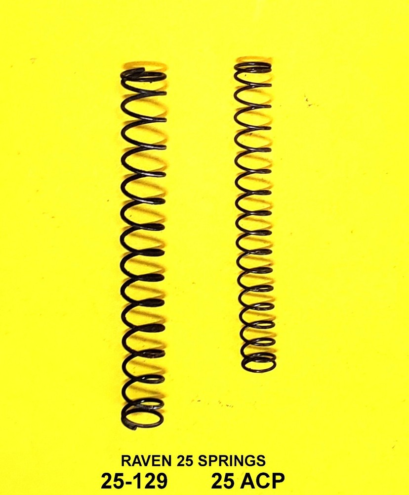 RAVEN MP 25 + P 25 IN 25 CALIBER FIRING PIN SPRING + RECOIL SPRINGS NICE 25-129