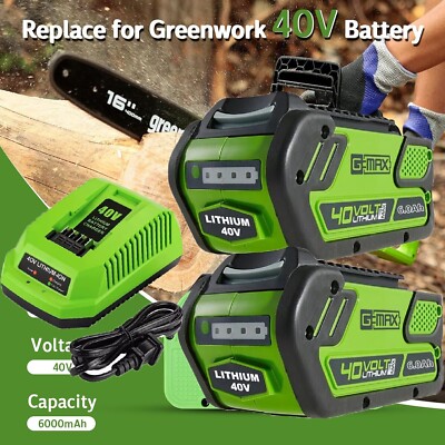 40V For Greenworks G-MAX Lithium Battery 29472 29462 29252 20202 40 Volt Charger