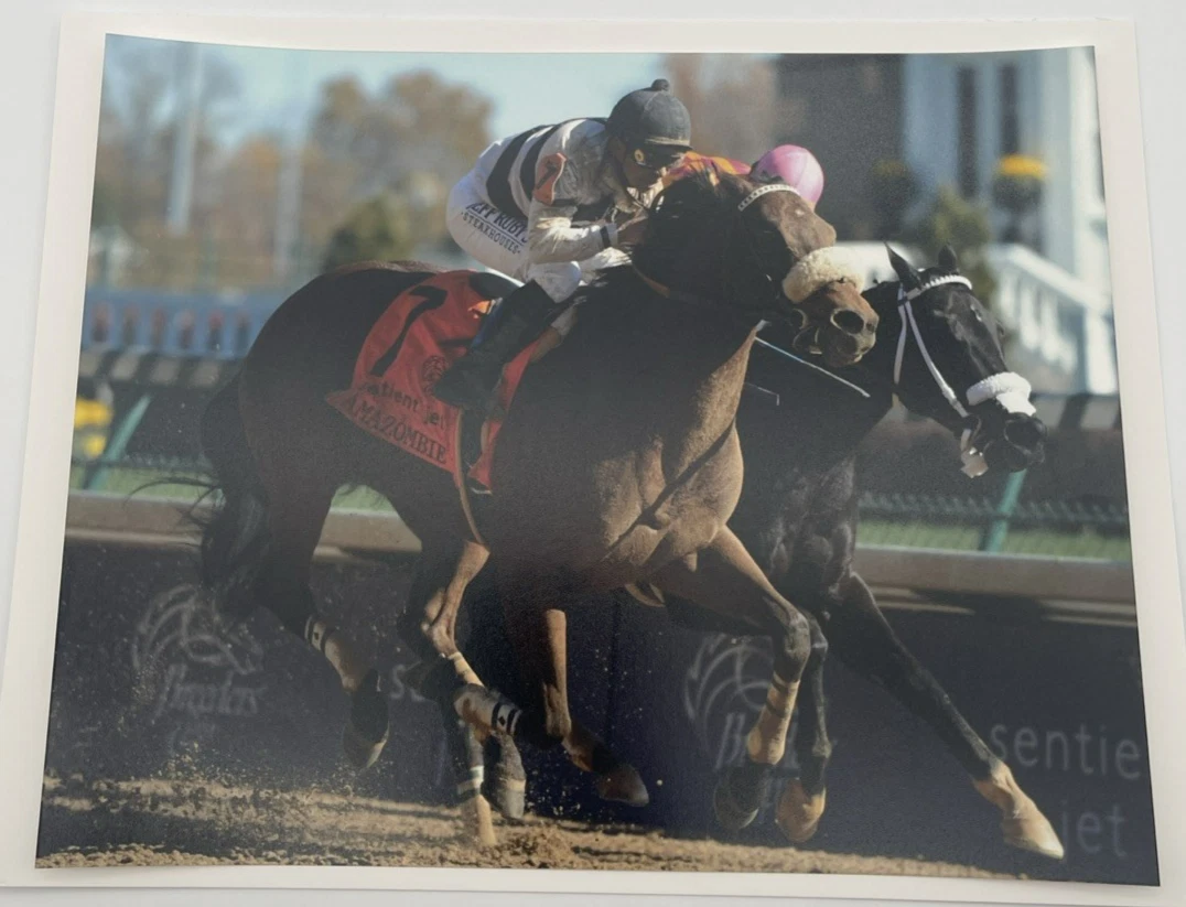 Breeders' Cup Men Horse Racing Fan Apparel & Souvenirs for sale | eBay