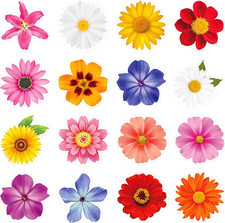 480Pcs Flower Stickers, Watercolor Daisy and Sunflower Decals for Scrapbooking