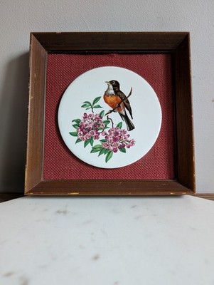 Vintage Framed Bird Print West Germany Cottage Decor Design