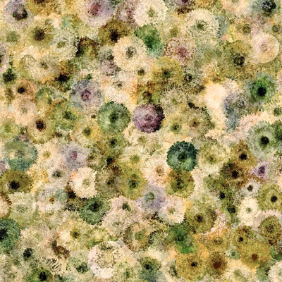 By The Yard, Petal Puff, Olive Digital Cotton $3.99 Ships ANY Amount Of Fabric