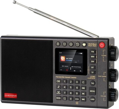 LC90 Multi-Band Smart Internet Radio Portable AM/FM, Longwave and Shortwave R...