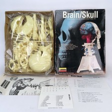Lindberg Brain/Skull Plastic Anatomically Accurate Model Kit 1335 Sealed Parts