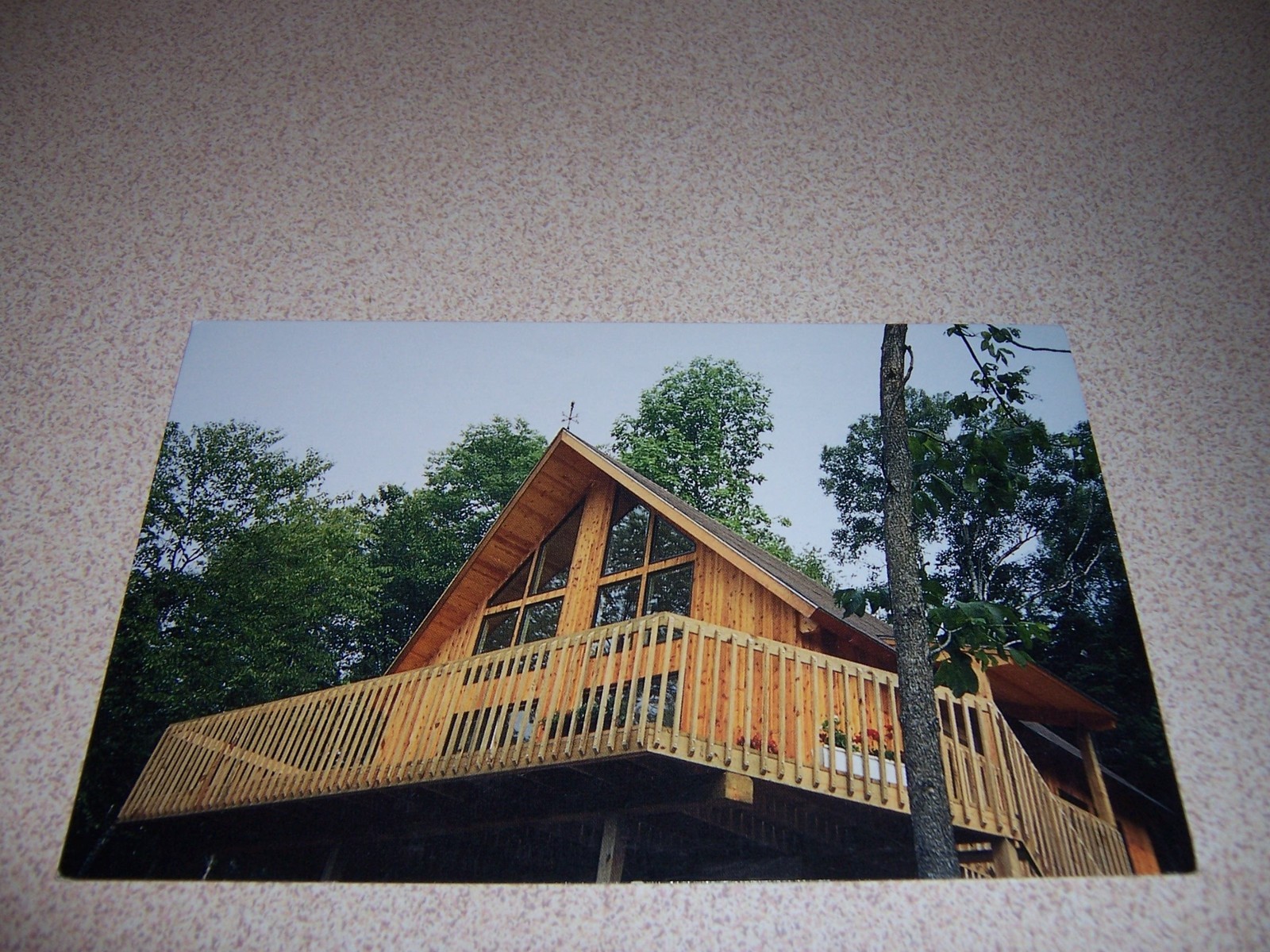 Picture 1 of 1
