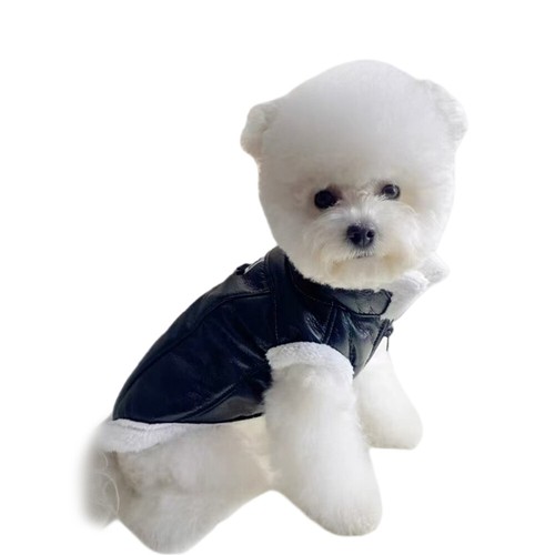 Chaqueta de cuero Fart Dog invierno caliente Chihuahua cachorros Reino Unido chaqueta de cuero 18 - Imagen 7 de 19