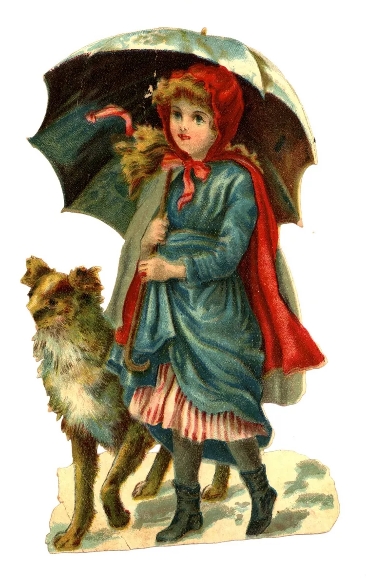 Large hotsell dog umbrella
