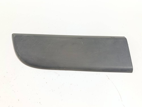 Renault Master III 2022 Vorne links Beplankung Türleiste Zierleiste vorne