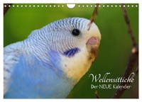 "Calendar 2027 · US Version · Budgies - The NEW Calendar (Wall Calendar 2027 12\""