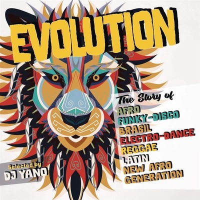 Evolution: The Story Of Afro Funky Disco / Diverse (4 CDs) - AA.VV. (Audio Cd)