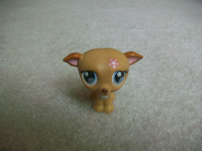 Littlest Pet Shop   #498 CUDDLIEST Flower Dog