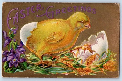 1909 Easter Greetings Hatched Egg Little Chicks Flowers Embossed Posted Postcard