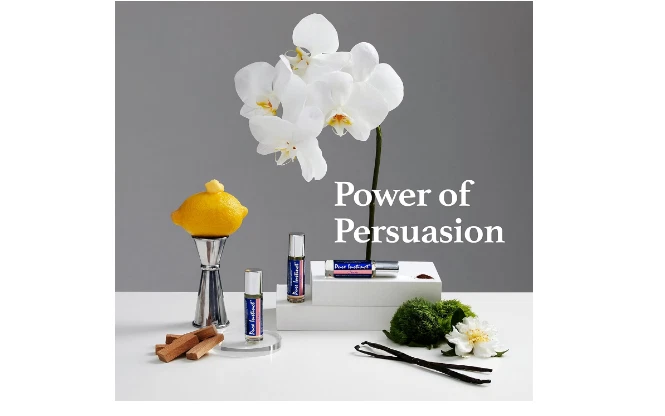 Pure Instinct Crave Roll On The Original Feromone Colonia Infundido Regalo Para Ella Foto 4 de 4