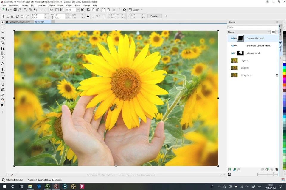 CorelDRAW Graphics Suite 2019 / Dauerlizenz / 1 PC / KEY (ESD) - Bild 2 von 4